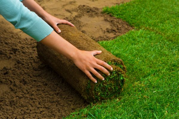Lawn Items Installation